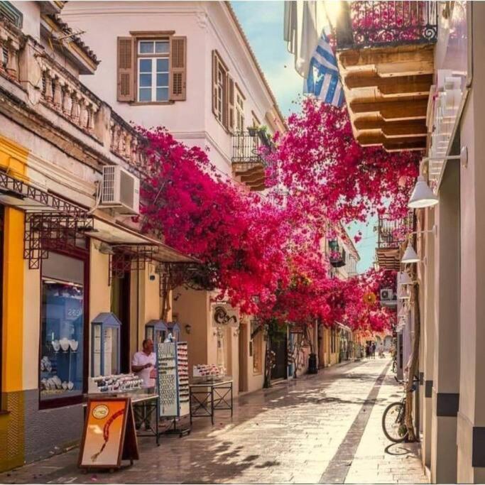 Elav Center Nafplio